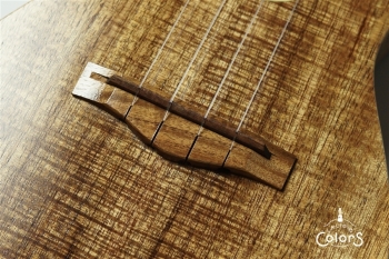 C-G/V -Concert- Gold